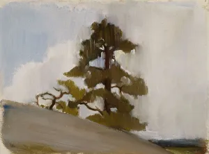 Scots Pine Prints: Pine. Creator: Einar Ilmoni