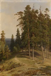 The Pine Forest, 1895. Artist: Shishkin, Ivan Ivanovich (1832-1898) The Pine Forest, 1895. Artist: Shishkin, Ivan Ivanovich (1832-1898)