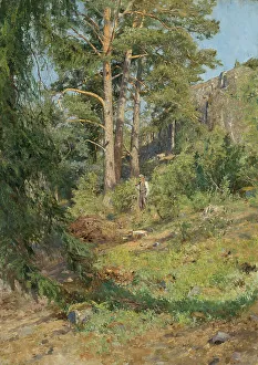 Woodman Prints: Pine Forest Skutudden, 1887. Creator: Carl Ludwig Trägardh
