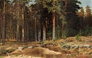 Forest Collection: A Pine Grove, 1898, (1939). Creator: Ivan Shishkin