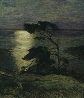Pines Prints: Pine Tree on the Coast in Moonlight, 1902. Creator: Thorolf Holmboe