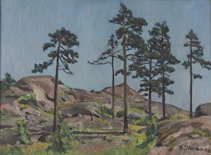 Pines Prints: Pine trees on rocky ground, 1942. Creator: Ilmari Ikonen