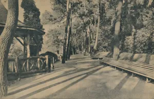 Bournemouth Gallery: The Pine Walk, 1929