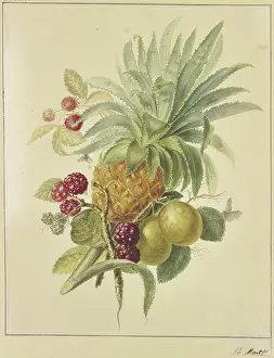Ananas Sativus Prints: A pineapple, plums, and raspberries. Creator: Jan Evert Morel
