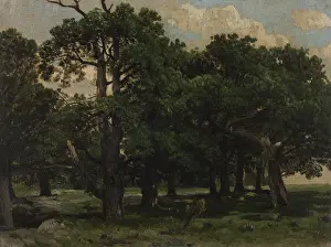 Evergreen Prints: Pines, c1870. Creator: Jozef Szermentowski