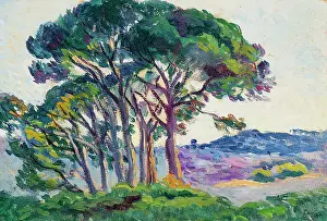 Saint Tropez Prints: Pines at Canebiers, 1903. Creator: Luce, Maximilien (1858-1941)