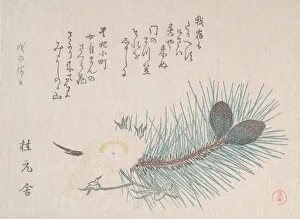 Pine Cone Prints: Pines and Cherry Blossoms, probably 1814. Creator: Kubo Shunman