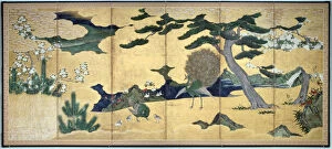 Early 17th Century Gallery: Pines and Peacocks, Japanese Edo period, early 17th century