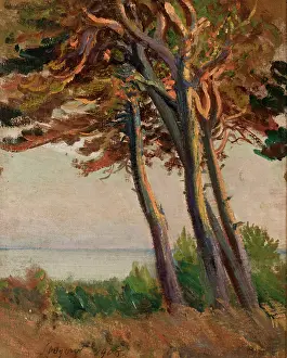 Leon Prints: Pines at Polaga, 1908. Creator: Leon Wyczolkowski