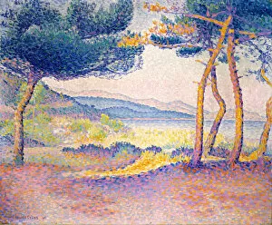 Pointillism Gallery: Pines Along the Shore, 1896. Creator: Henri-Edmond Cross