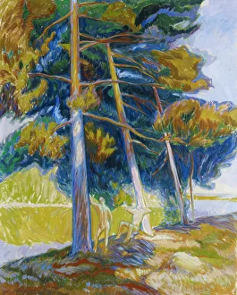 Leaning Back Prints: Pines on the Shore, 1912. Creator: Yrjö Aleksander Ollila
