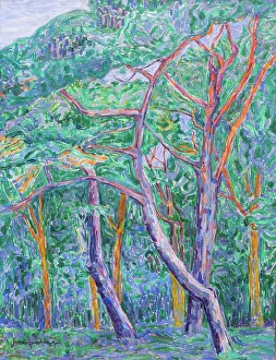 Heemskerck Prints: Pinewood, 1908. Creator: Heemskerck, Jacoba van (1876-1923)