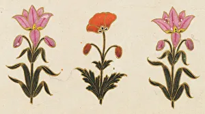 Poppies Prints: Pink lilies and red poppy motif