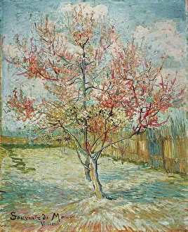 Blooming Prints: Pink peach trees ('Souvenir de Mauve')