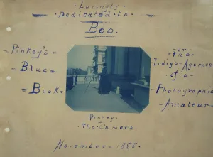 Tripod Prints: Pinkey & the camera, 1888. Creator: Frances Benjamin Johnston
