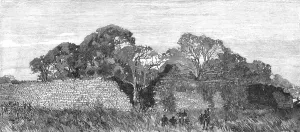 Zimbabwe Prints: The Pioneer Corps of the British South Africa Co's Forces on their way to Mashonaland; Ancient Rui Creator: Unknown