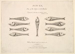 Pisces: Hogarths Quadrille Fish, ca. 1730. Creator: Unknown