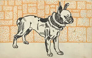 Burger Collection: Pitbull Terrier, 1912. Creator: Moritz Jung