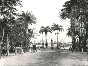 Palm Trees Prints: Place d Armes, Port Louis, Mauritius, 1895. Creator: Unknown