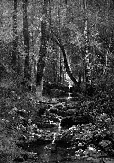 Tranquil Prints: A Place for a Picnic, 1881. Creator: William James Palmer