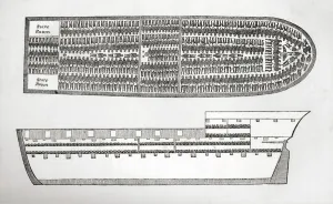 Cross Section Prints: Plan showing how Slaves were transported on board a Slave Ship in the 18th Century (engraving)