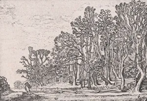 Visscher Prints: Two Plank Hedges, from Verscheyden Landtschapjes (Various Little Landscapes), Plate 6