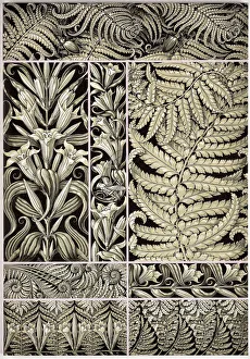 Seder Prints: The plant ornaments, c. 1890