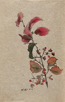Respiratory Disease Prints: A plant, possibly an Euonymus species: fruiting branch. Creator: Unknown