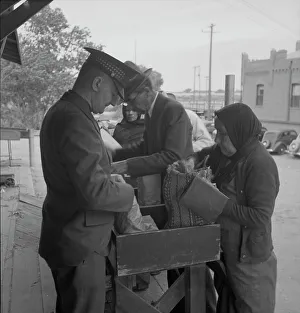 Quarantine Prints: Plant quarantine inspectors examining goods bought