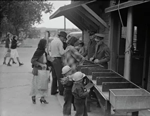 Quarantine Prints: Plant quarantine inspectors examining packages, Texas, 1937. Creator: Dorothea Lange