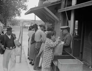 Quarantine Prints: Plant quarantine inspectors examining packages brought over the bridge
