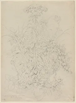 Plant Study, 1857. Creator: Eugene Blery (French, 1805-1886)