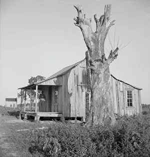 Plantation cabin of sharecropper, Washington County, Mississippi, 1937. Creator: Dorothea Lange