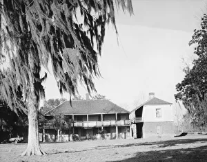 Plantation Collection: Plantation Ormond above New Orleans, Louisiana, 1935 or 1936. Creator: Walker Evans