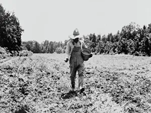 Workwear Prints: Planting corn in the community garden