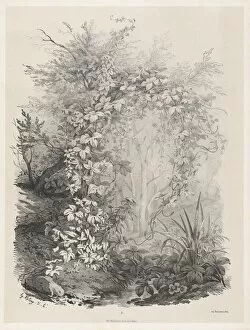 Wild Flower Gallery: Plants and Ivies by a Stream, 1848 / 1849. Creator: Eugene Blery
