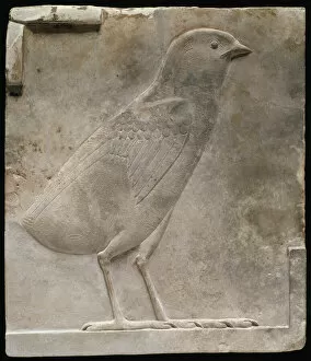 Ptolemaic Gallery: Plaque Depicting a Quail Chick, Egypt, Ptolemaic Period (332-30 BCE). Creator: Unknown