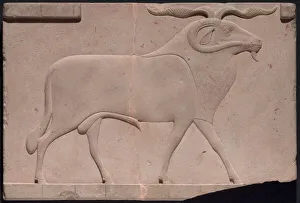 Limestone Prints: Plaque Depicting a Ram, Egypt, Ptolemaic Period (332-30 BCE). Creator: Unknown