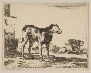 Plate 11: dogs, from Various animals (Diversi animali), ca. 1641