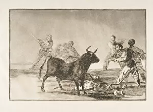 Bullfighter Collection: Plate 12 from the Tauromaquia : The crowd hamstrings the bull with lances, sickles