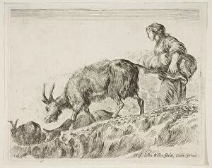 Plate 14: shepherdess herding goats, from Various animals (Diversi animali), ca. 1641