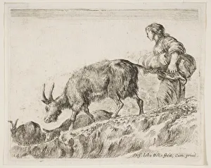 Plate 14: shepherdess herding goats, from Various animals (Diversi animali), ca. 1641 Plate 14: shepherdess herding goats, from Various animals (Diversi animali), ca. 1641