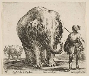 Langlois Nicolas Prints: Plate 16: an elephant in center, his mahout standing to the right wearing an Orient