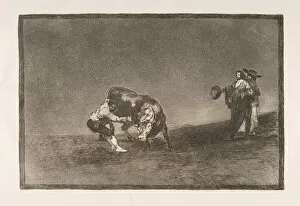 Bullfight Gallery: Plate 16 of the Tauromaquia : The same man throws a bull in the ring at Madrid. 1816