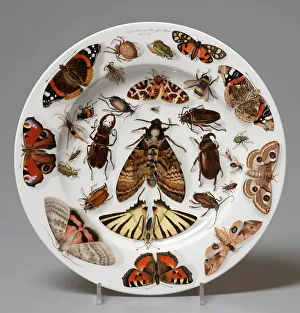 Bees Prints: Plate, 1840. Creator: Unknown
