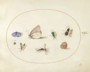 Plate 19: Two Butterflies with Five Other Insects, c. 1575/1580. Creator: Joris Hoefnagel