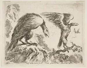 Beak Gallery: Plate 2: eagle and eaglet, from Various animals (Diversi animali), ca. 1641