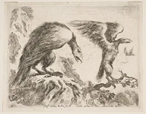 Plate 2: eagle and eaglet, from Various animals (Diversi animali), ca. 1641