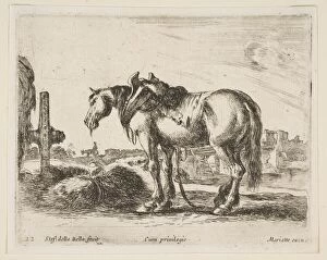 Carthorse Collection: Plate 22: cart horse, from Various animals (Diversi animali), ca. 1641