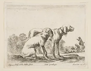 Hounds Prints: Plate 23: two hounds, from Various animals (Diversi animali), ca. 1641